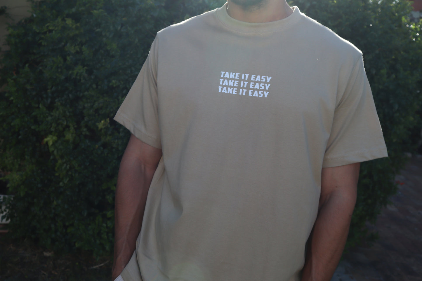 'TAKE IT EASY' Premium Beige Tee